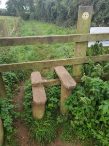 Cotswold step gate